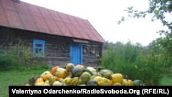 Український сільський пейзаж