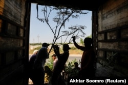 Lucrători plantând pomi pe drumul care duce la Karachi