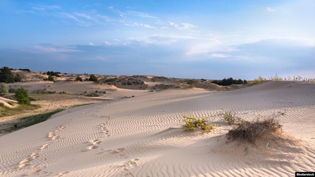 Піщані дюни в Олешківських пісках Херсонської області