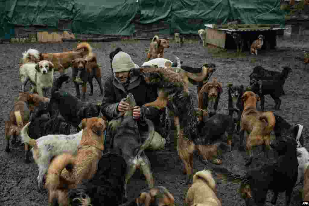 A volunteer cuddles with dogs in an improvised shelter, operated only by volunteers, which houses more than 450 stray dogs in Nis, in Serbia. (AFP/Andrej Isakovic)