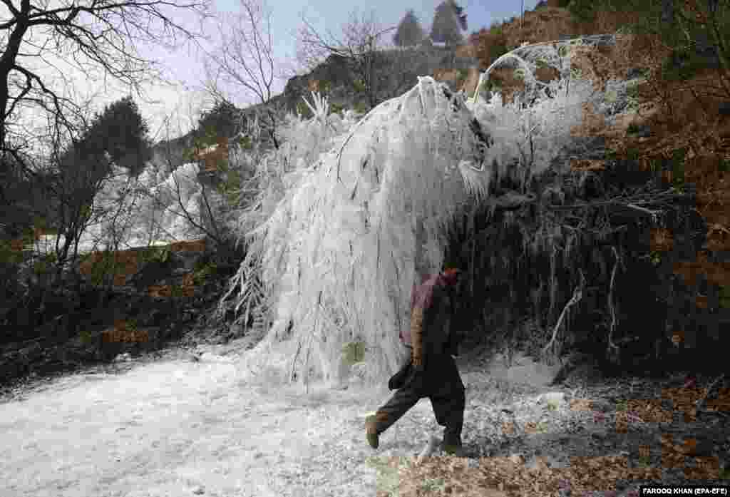 Demirgazyk Kaşmir, Tangmarg, hindi Kaşmiriniň tomusky paýtagty Srinegaryň 30 km uzaklygynda suw turbasyndan syzan suwlaryň doňmagyndan dörän buzlaryň ýanyndan geçip barýan adam. Kaşmir ýaýlasy rekord derejedäki sowuk gyşy başdan geçirýär. 27-nji dekabr gijesi 28 ýylyň içinde iň sowuk howa bolup, temperatura Selsiýa boýunça -7.6 derjä düşdi. (epa-EFE/Farooq Khan)