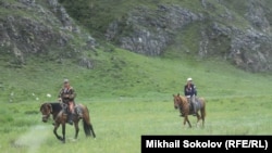 Конные прогулки в горах Алтая 