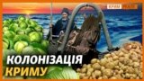 Чому українці були успішнішими за росіян у Криму? (відео)