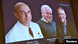 Cei trei laureați ai premiului Nobel pentru Medicină, 2020.