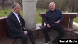 Liderul socialist Igor Dodon și președintele belarus Alexandr Lukașenka, doi buni prieteni, Minsk, 5 mai 2021