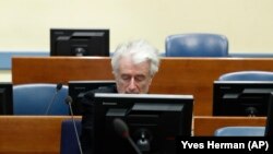 Radovan Karadžić drugi dan pred sudom zbog žalbi na presudu