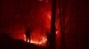 «بخش زیادی» از منابع طبیعی در اثر آتش‌سوزی سیروان آسیب دید
