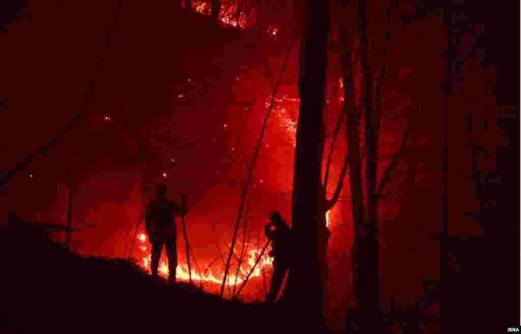 ناهارخوران در آتش؛ هفته گذشته وقوع یک آتش سوزی در ارتفاعات جنگل ناهار&zwnj;خوران گرگان، باعث وقوع&nbsp;خسارت جدی به درختان و طبیعت این ناحیه شد.