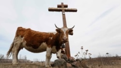 Иллюстративное фото