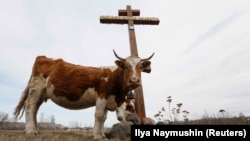 Иллюстративное фото