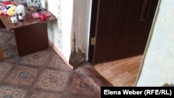 Во многих пострадавших в результате затопления домах в Кокпекты от сырости сыплется штукатурка на стенах и потолках, вздулись полы. Кокпекты, Карагандинская область, 20 июня 2016 года.