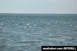 Побережье Каспийского моря