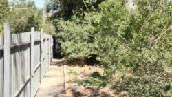 Ֆիզգորոդոկի բնակիչներն ահազանգում են՝ տարածքում շինաշխատանքները կարող են խանգարել գործի քննությանը