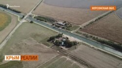 «Золотые времена»: как Крым становился аграрным регионом | Крым.Реалии ТВ (видео)