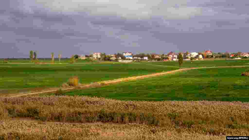 Так выглядит&nbsp;пшеничное поле вдоль маловодной балки Тереклав