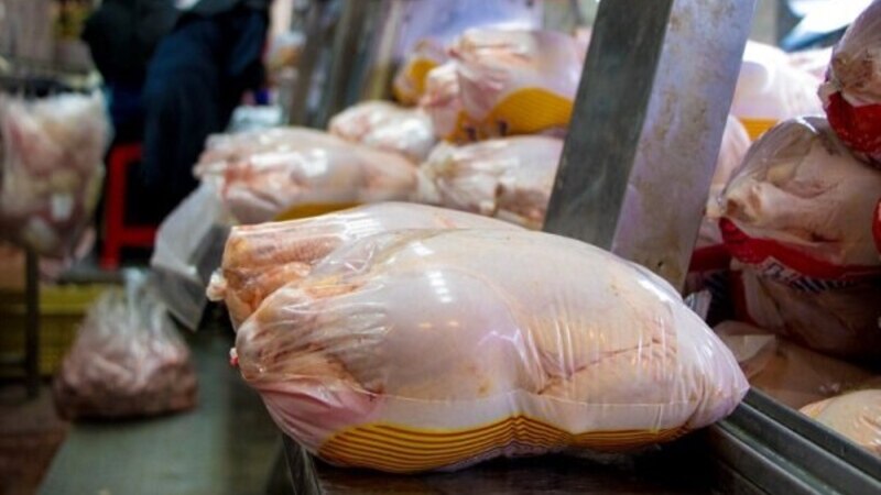 سخنگوی دولت وعده کاهش قیمت مرغ را داد
