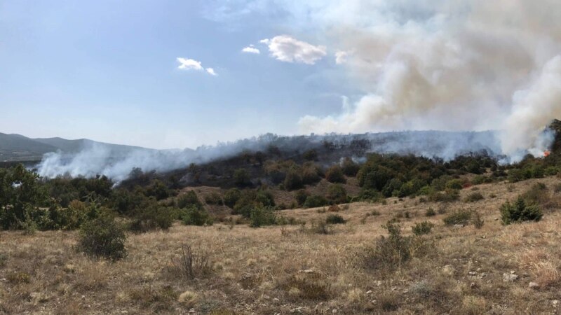 Спасатели потушили пожар в на территории Симферопольского лесничества