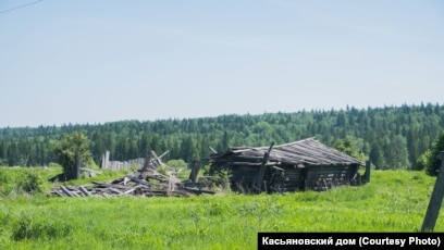 Попки девочек в лесу