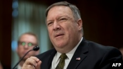 AQŞ devlet kâtibi vazifesine namzet, CIA mudiri Mayk Pompeo