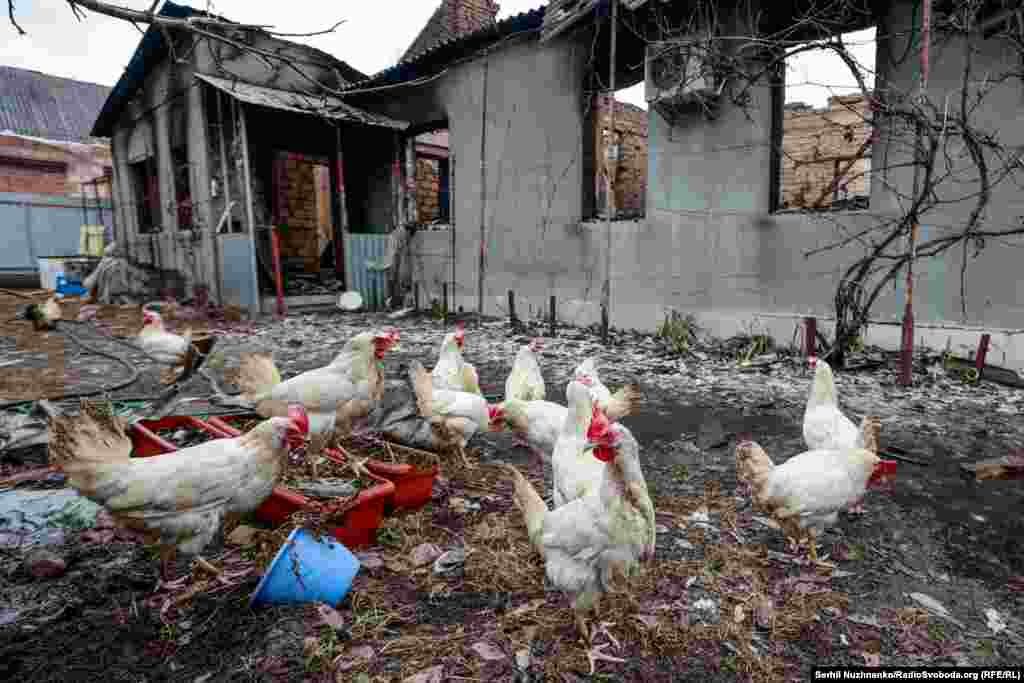 Наслідки обстрілу села Горенка біля Києва, 6 березня 2022 року 