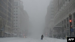 Снігопад у Нью-Йорку, 23 січня 2016 року