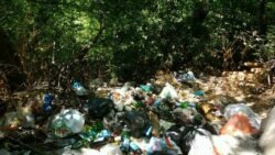 Концы в воду: ялтинский мусор скидывают в реку 
