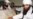 Haqqani Leader Lived, Died In The Open In Pakistan