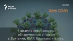 «Справятся ли вакцины с новыми штаммами?» и другие важные вопросы