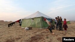 Жители Алеппо, вынужденно покинувшие свои дома из-за авиаударов живут в палатках, установленных в степях. 19 октября 2015 года.