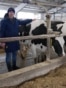 Moldova, Ivan Suhov (32), who fled the war in Ukraine to Moldova, is now a veterinarian at a cow farm in Horesti, Ialoveni.