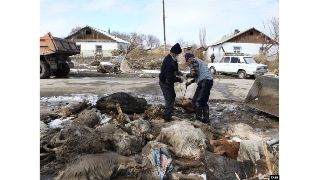 Sex mines ru Жамбас порно көру