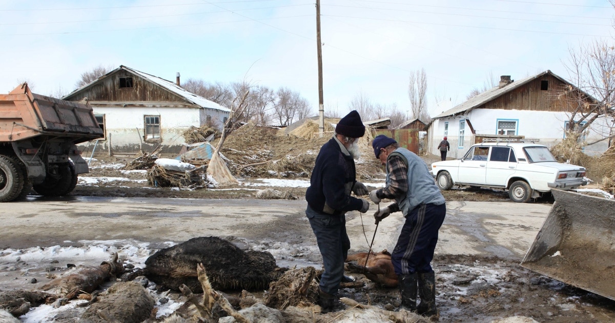 Үй тегін ххх видео большие сиськи