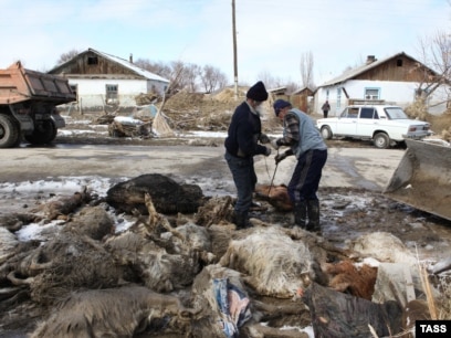 Сексуалды әйел есімдері