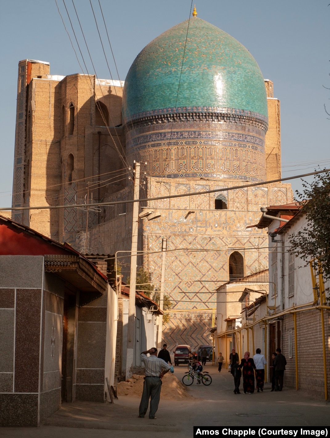 Semiz mushuk toliq ekran