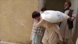Эксперты говорят об угрозе голода в Афганистане