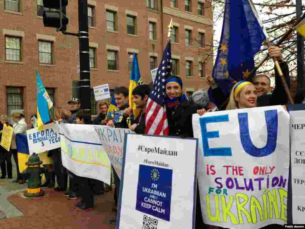 Євромайдан у Вашингтоні (США) (фото Facebook Myroslava Gongadze)