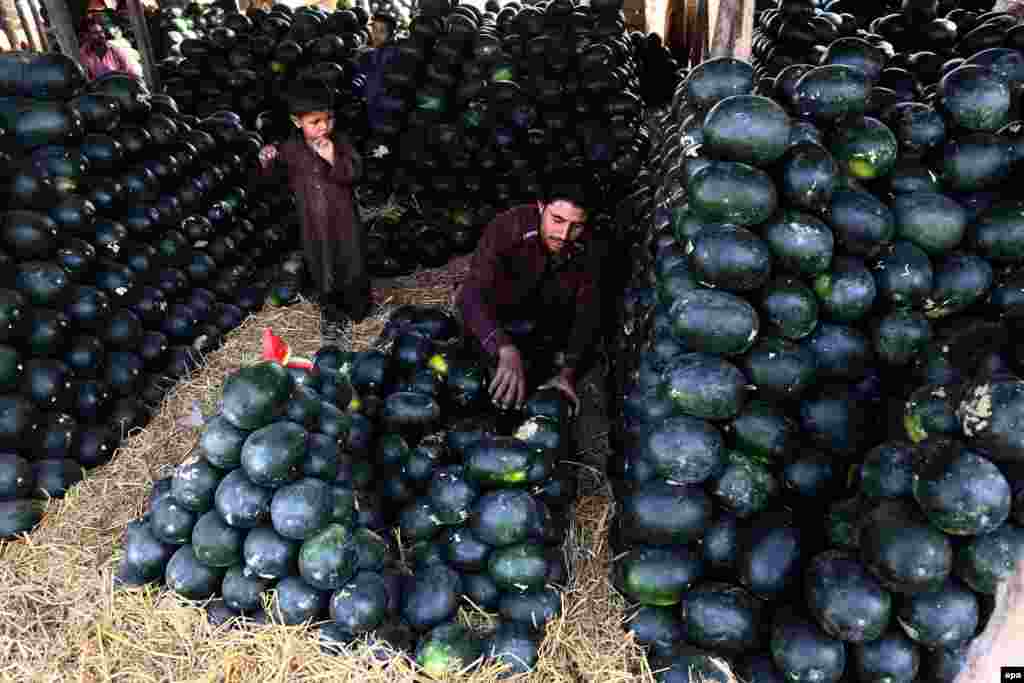 Pakistani fruit vendors sell watermelons on a roadside in Karachi. (epa/Rehan Khan)