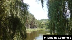 Галасееўскі парк у Кіеве