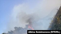 В Таласской области продолжает гореть пастбище