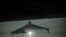 Модернізований «Шахед» із реактивним двигуном, фото ілюстративне