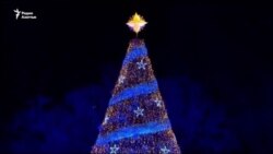 Дональд и Меланья Трамп впервые зажгли огни на рождественской елке