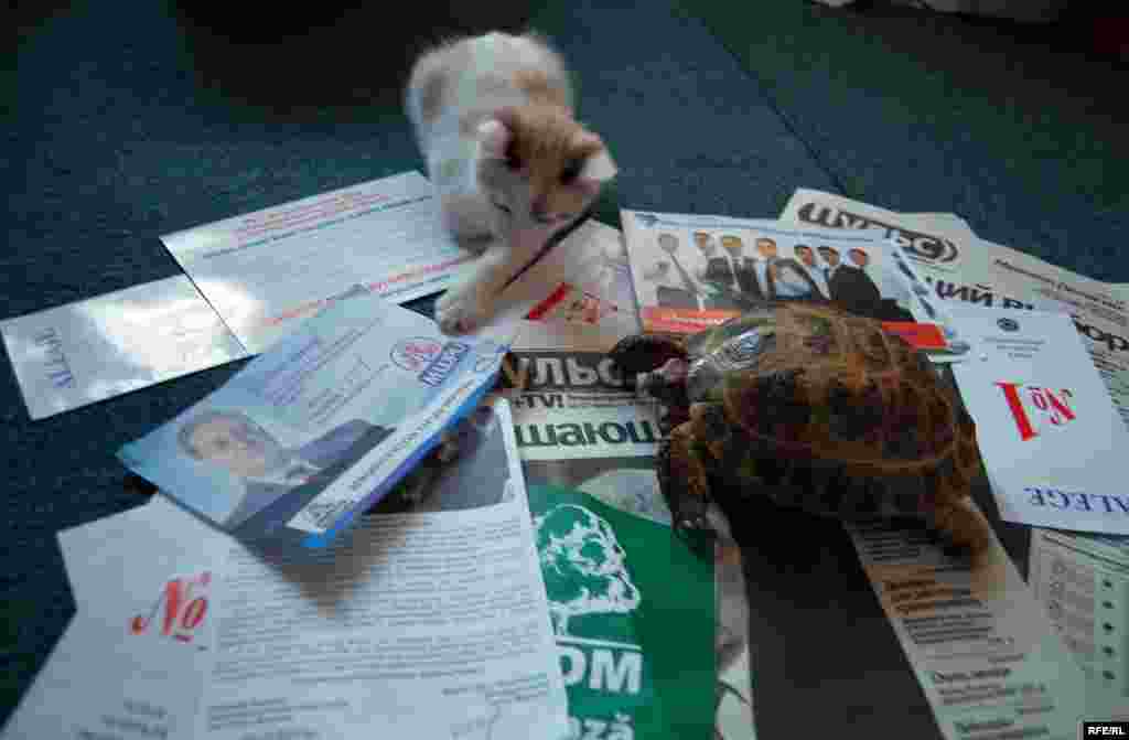 Lecturi neobligatorii (2) - Foto: Cristian Teleucă