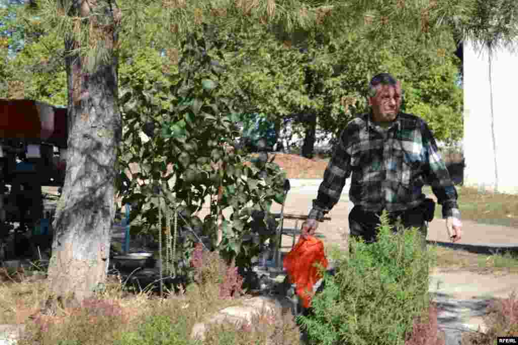 Prețuri mici, probleme mari #19