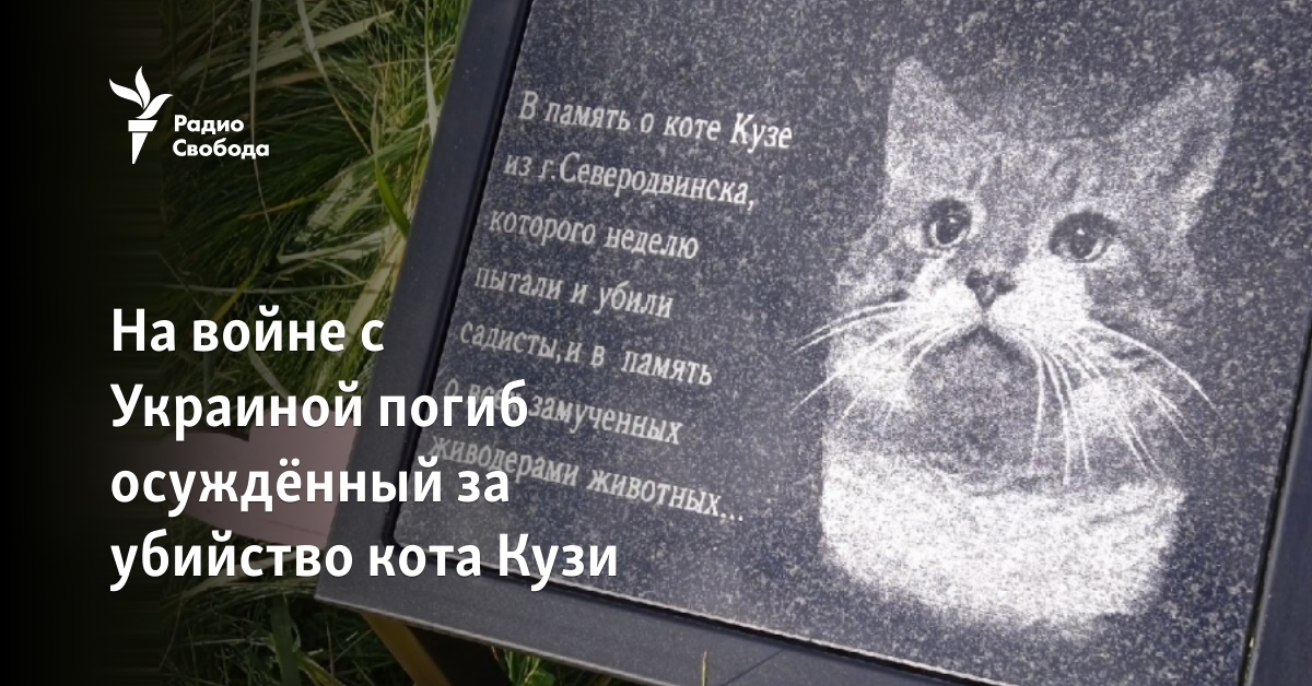 During the war with Ukraine, a person convicted of killing Kuza’s cat died