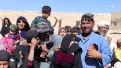 هرات کې د وروستۍ پېښې د قربانیانو کورنۍ څه غواړي؟
