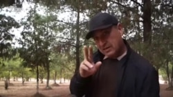 Даъвои падар бо муаллима дар Мӯъминобод идома дорад