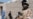 Afghan Lawmakers Favor Talks With Some Taliban