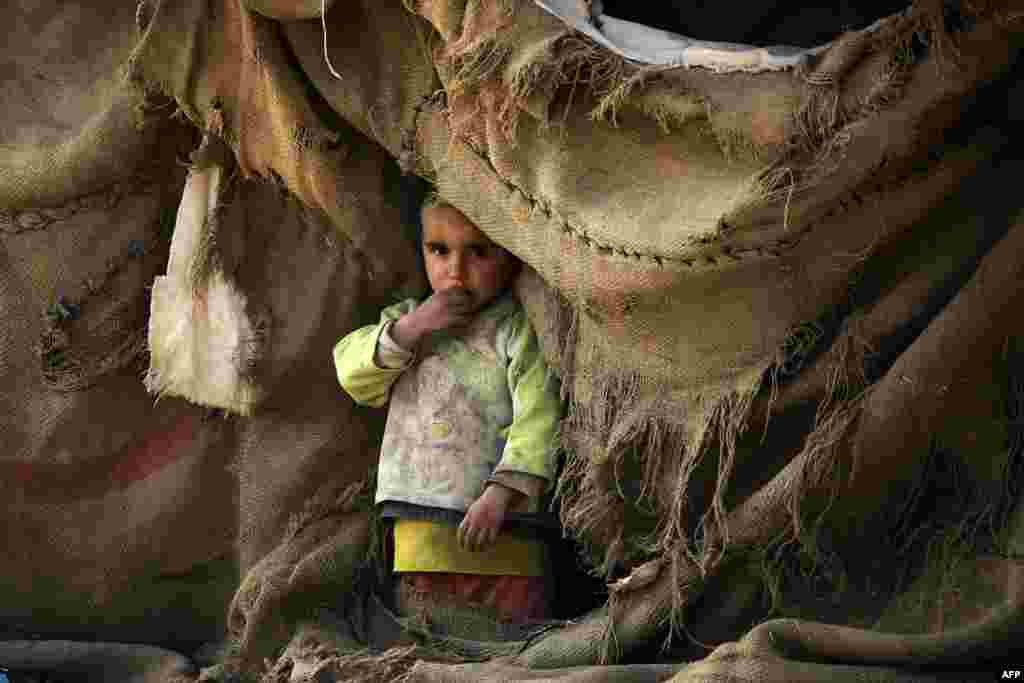 A displaced Syrian child looks out of a tent at a makeshift camp near the village of Tarshan, some 20 kilometers north of Raqqa after they fled their homes due to the battles between Syrian Democratic Forces and the Islamic State extremist group. (AFP/Delil Souleiman)