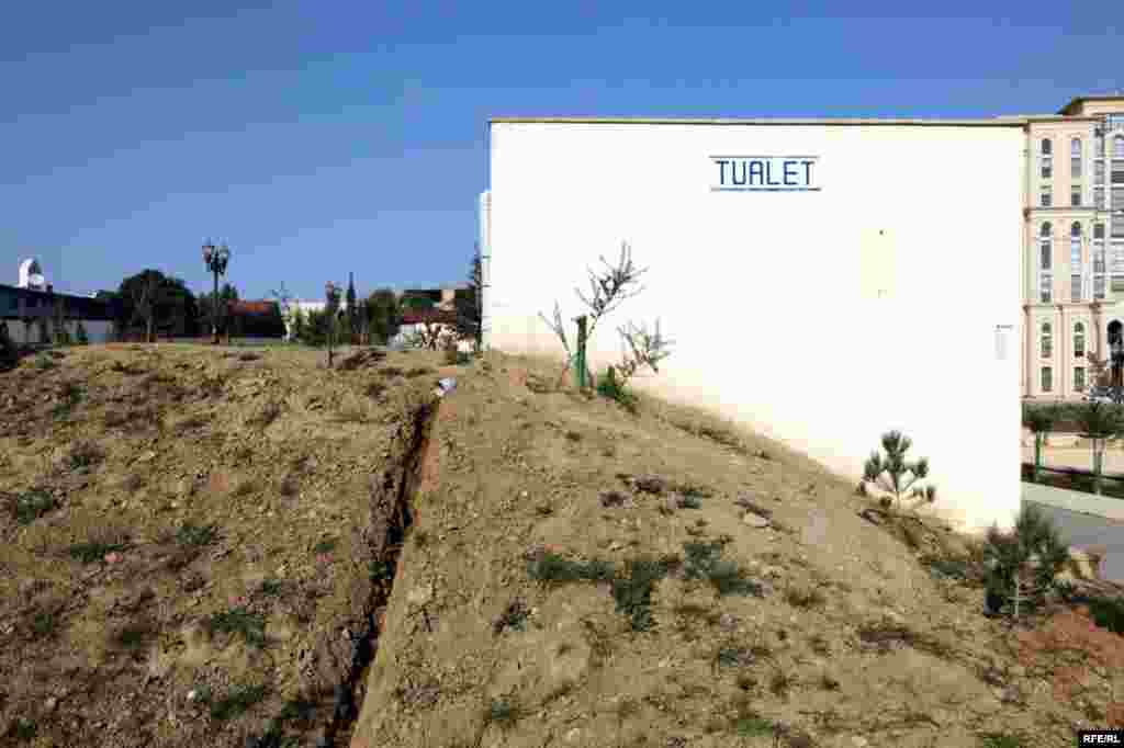 1 yaşlı qoca park #24