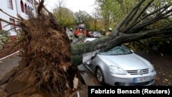 Германия пойтахти Берлинда Херварт бўрони оқибатида қулаган дарахт.